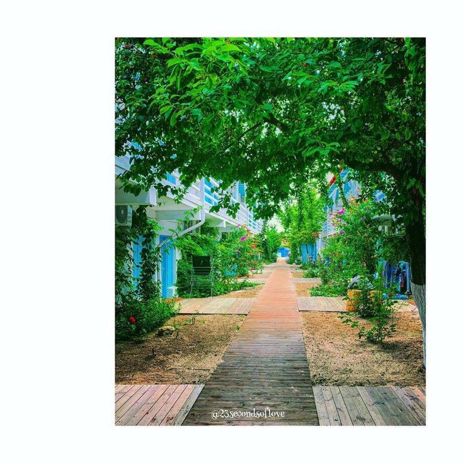 Casa Stavros 호텔 Două Mai 외부 사진