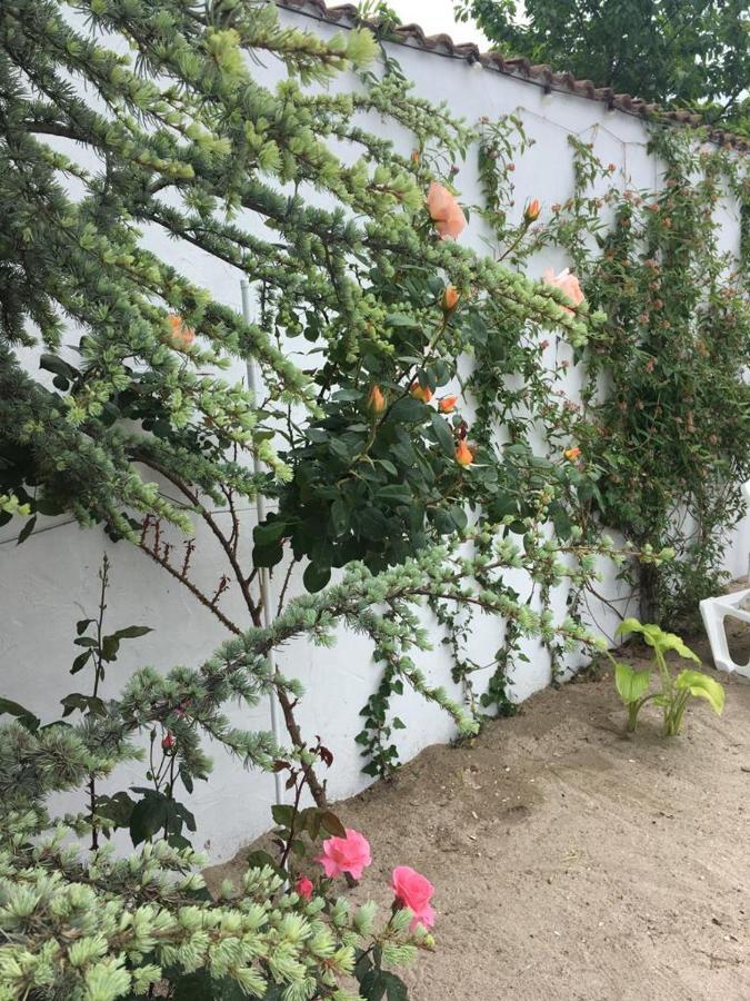 Casa Stavros 호텔 Două Mai 외부 사진